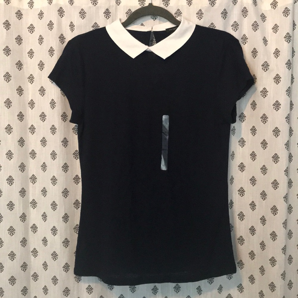 Ann Taylor Collared Shirt